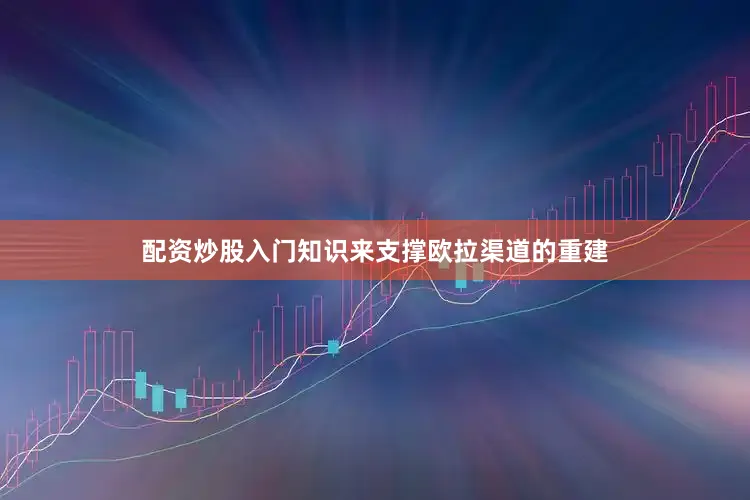 配资炒股入门知识来支撑欧拉渠道的重建