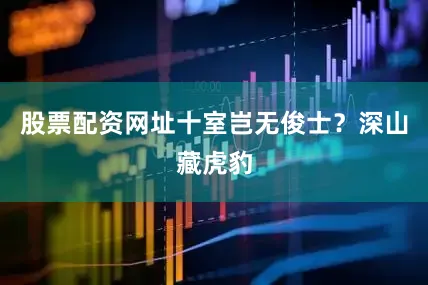 股票配资网址十室岂无俊士？深山藏虎豹